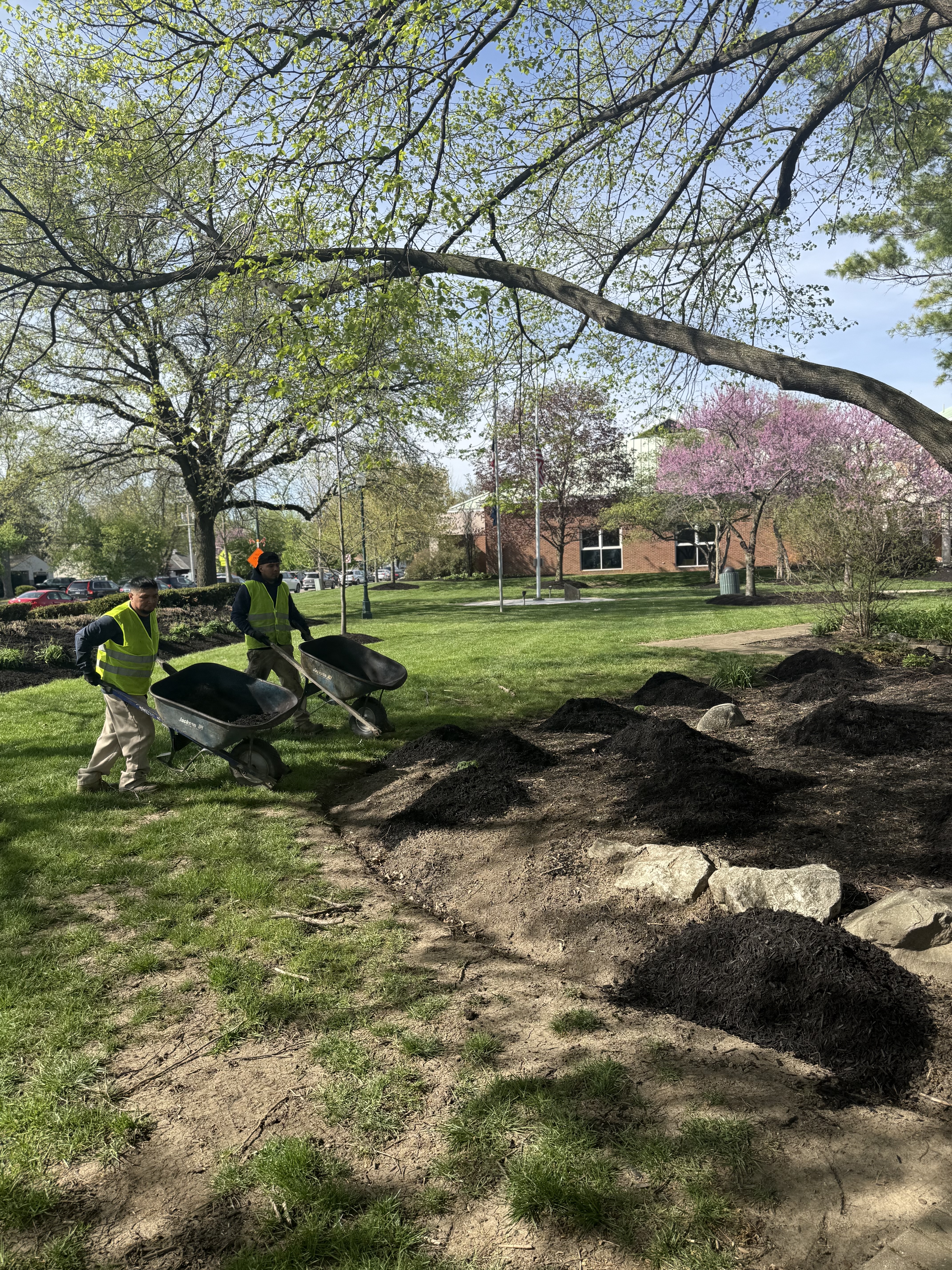 Mulching close-up
